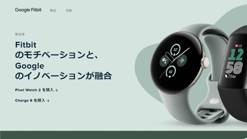 Google Fitbit