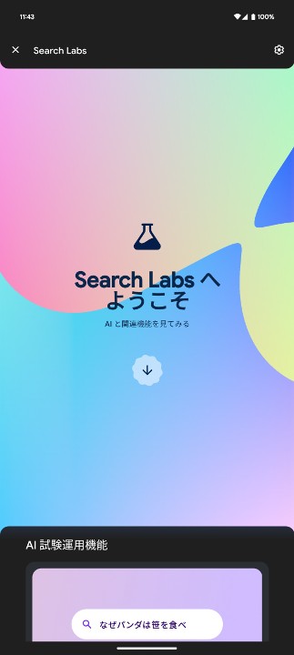 Search Labs