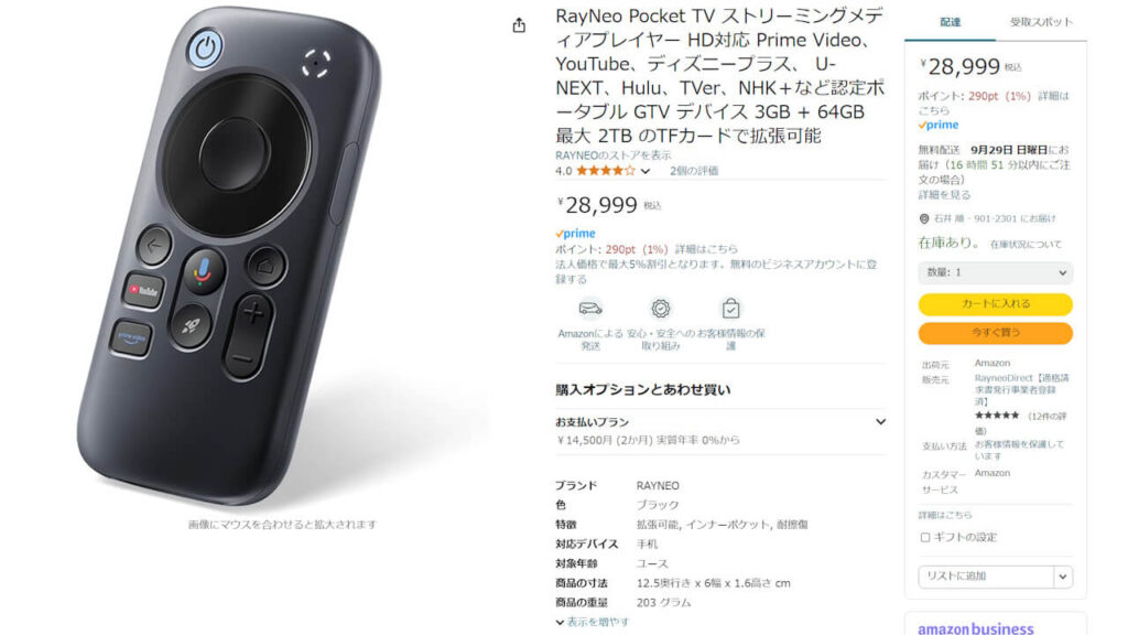 RayNeo Pocket TV