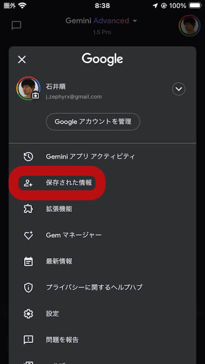 iOS Gemini